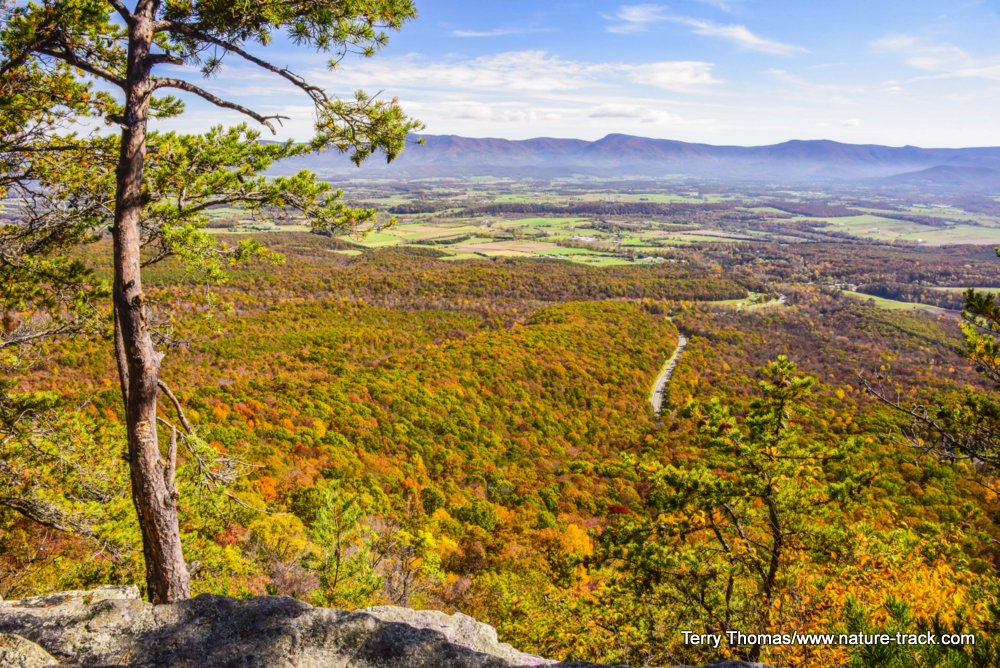 Luray Virginia autumn