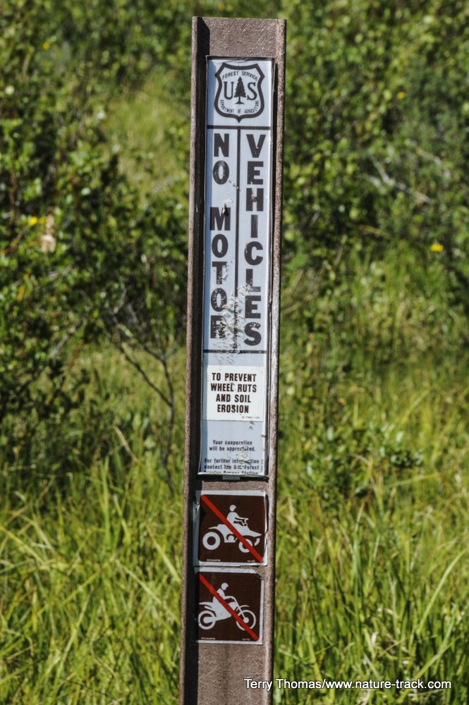 road closed sign