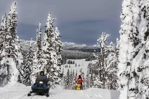 snowmobiles