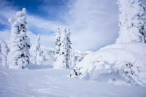 winter scene