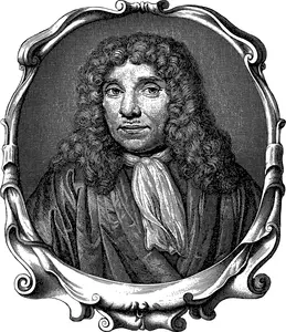 Van Leuenhoek