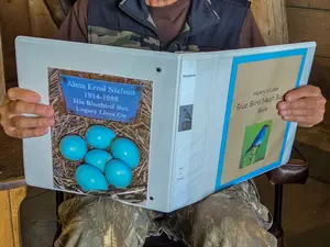 nestboxbook
