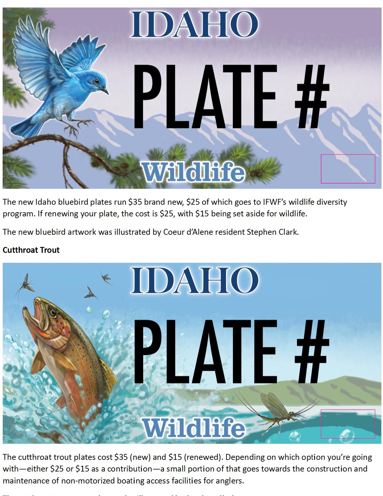 2024 bb and ct license plates