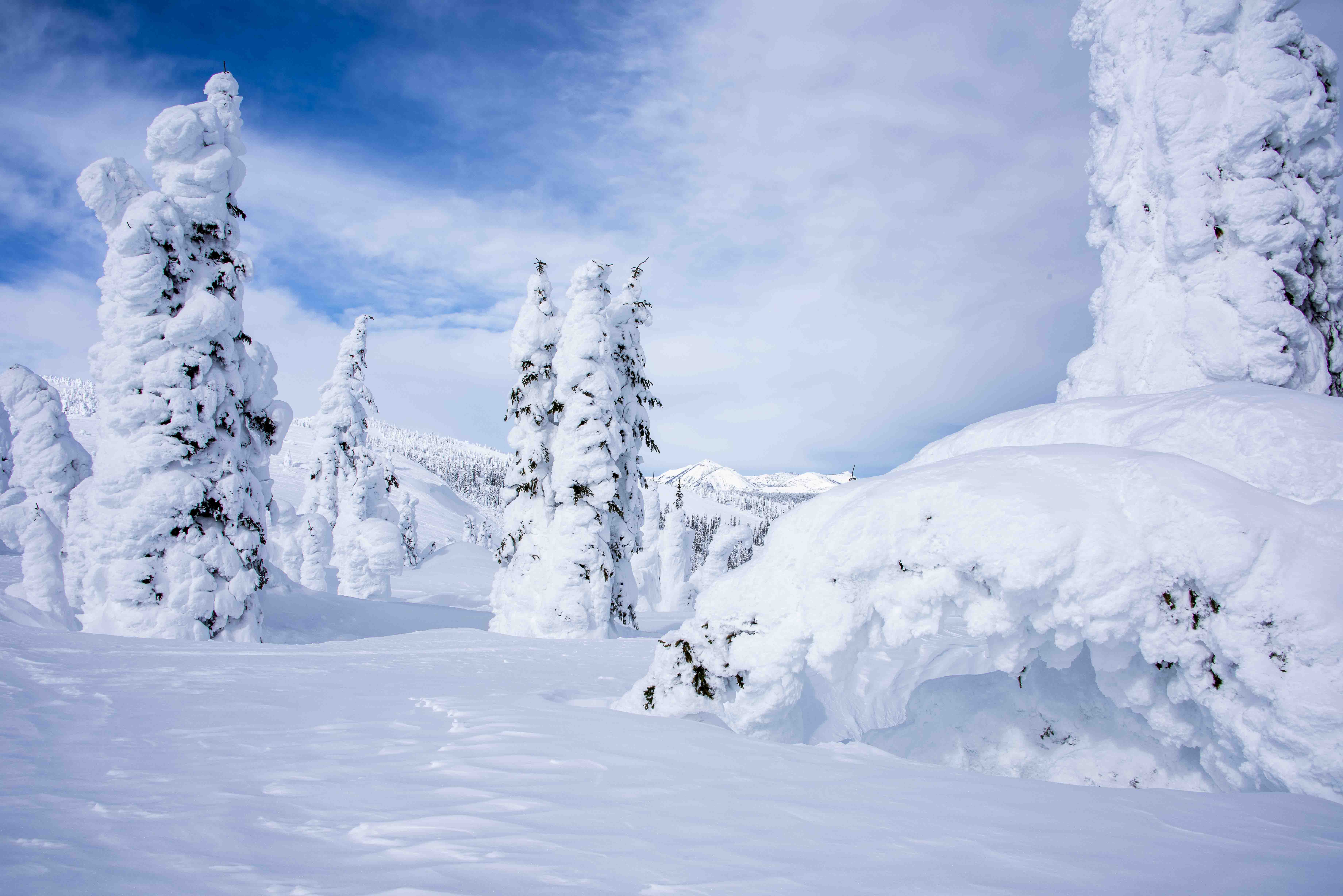 winter scene winter scene