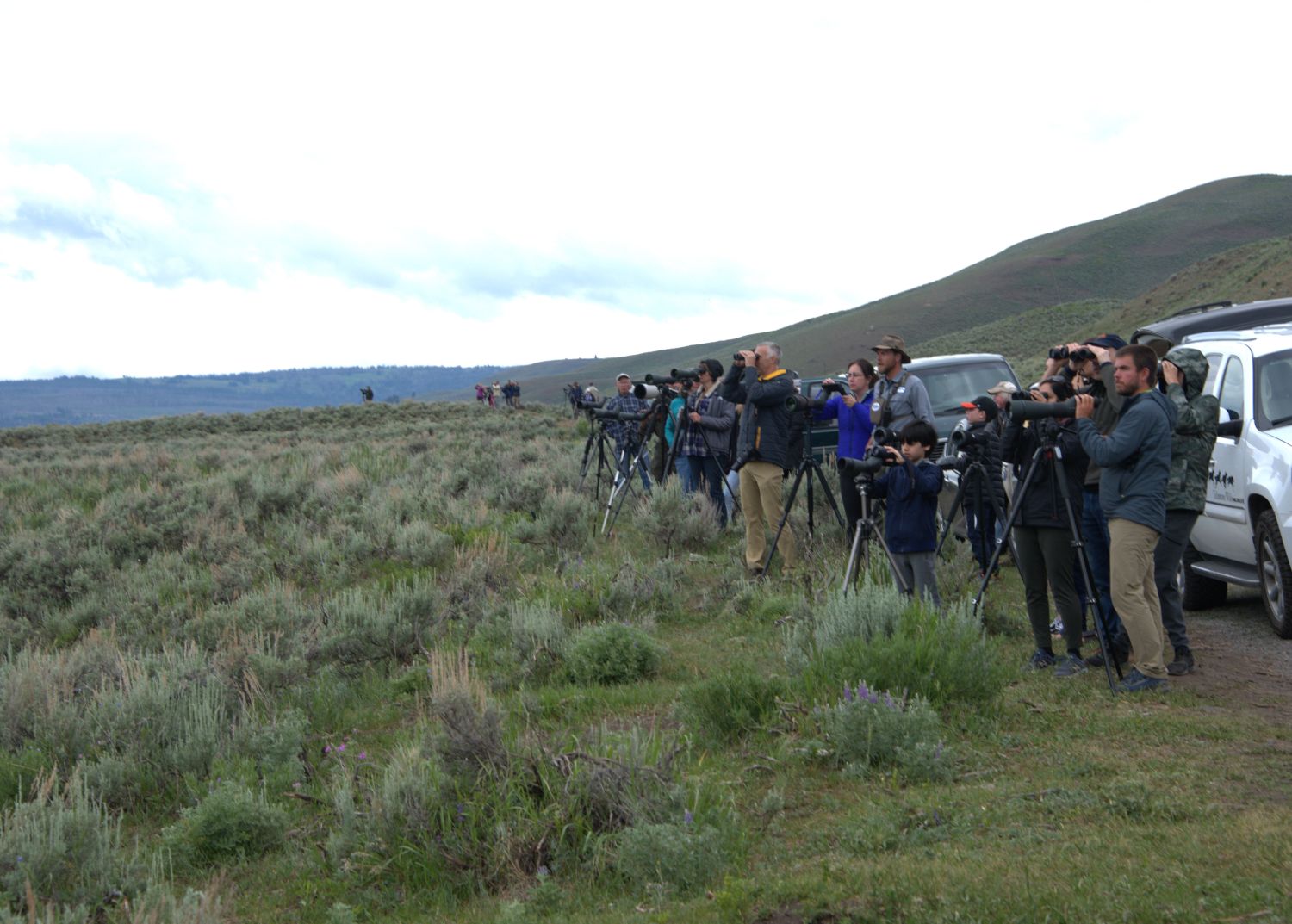 yellowstone photographers