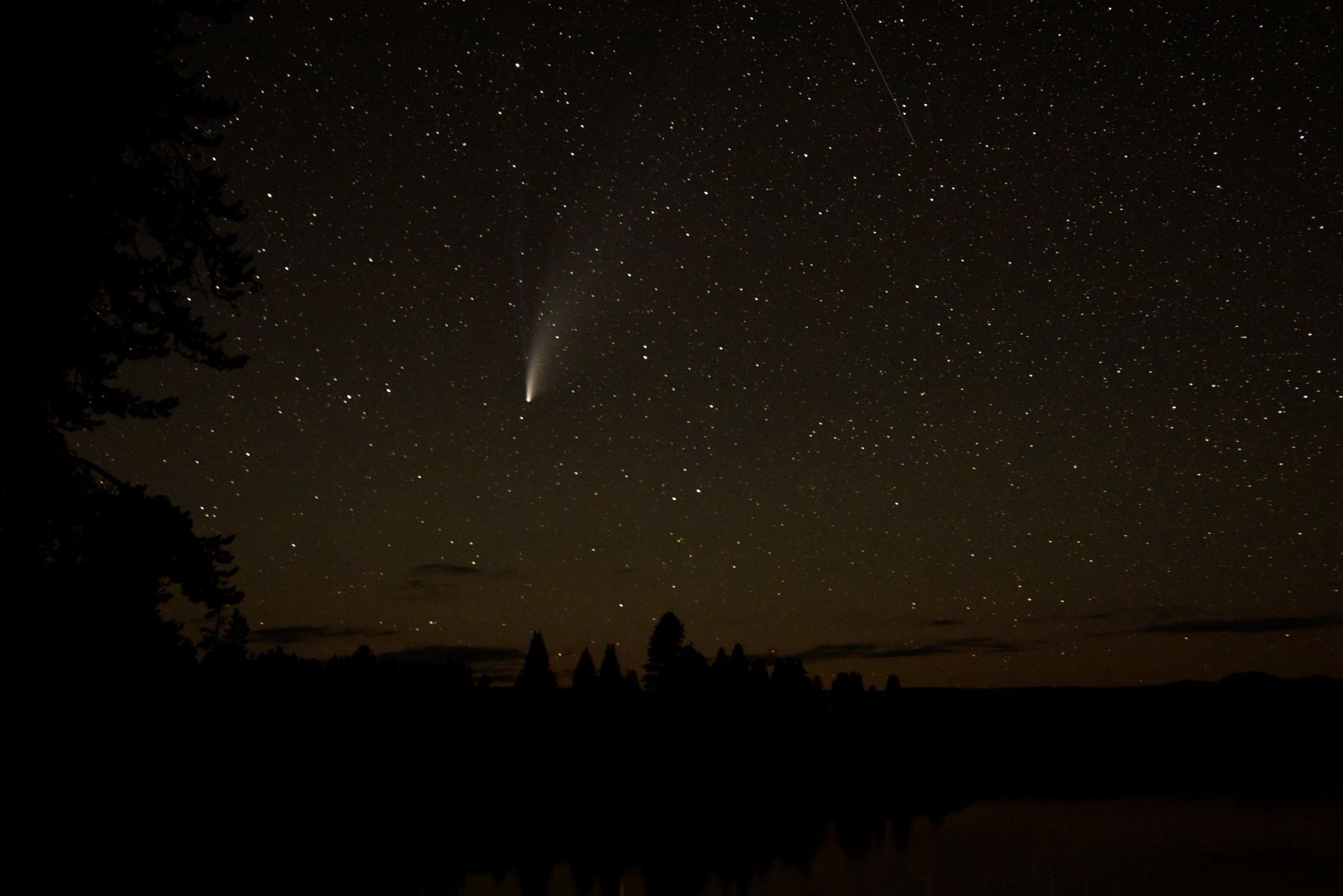 neowise neowise