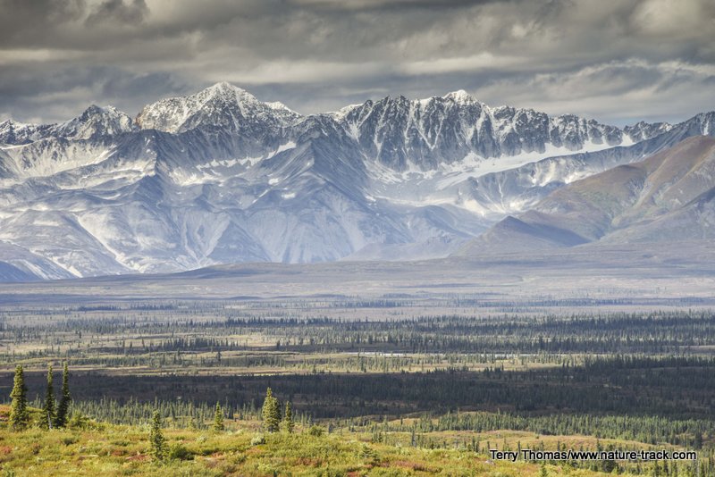 alaska wilderness