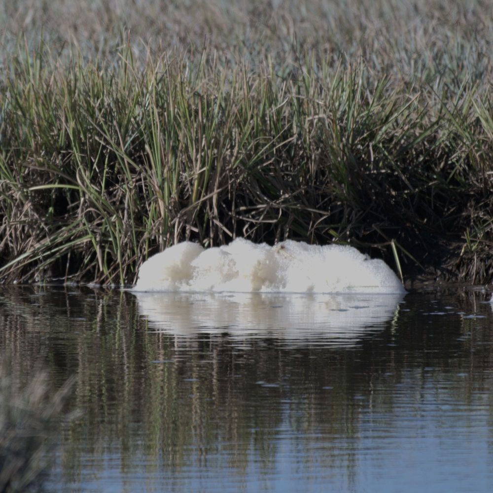 creek foam