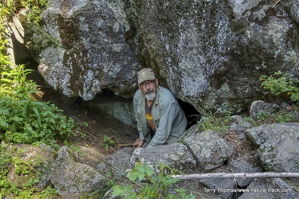 Lava cave