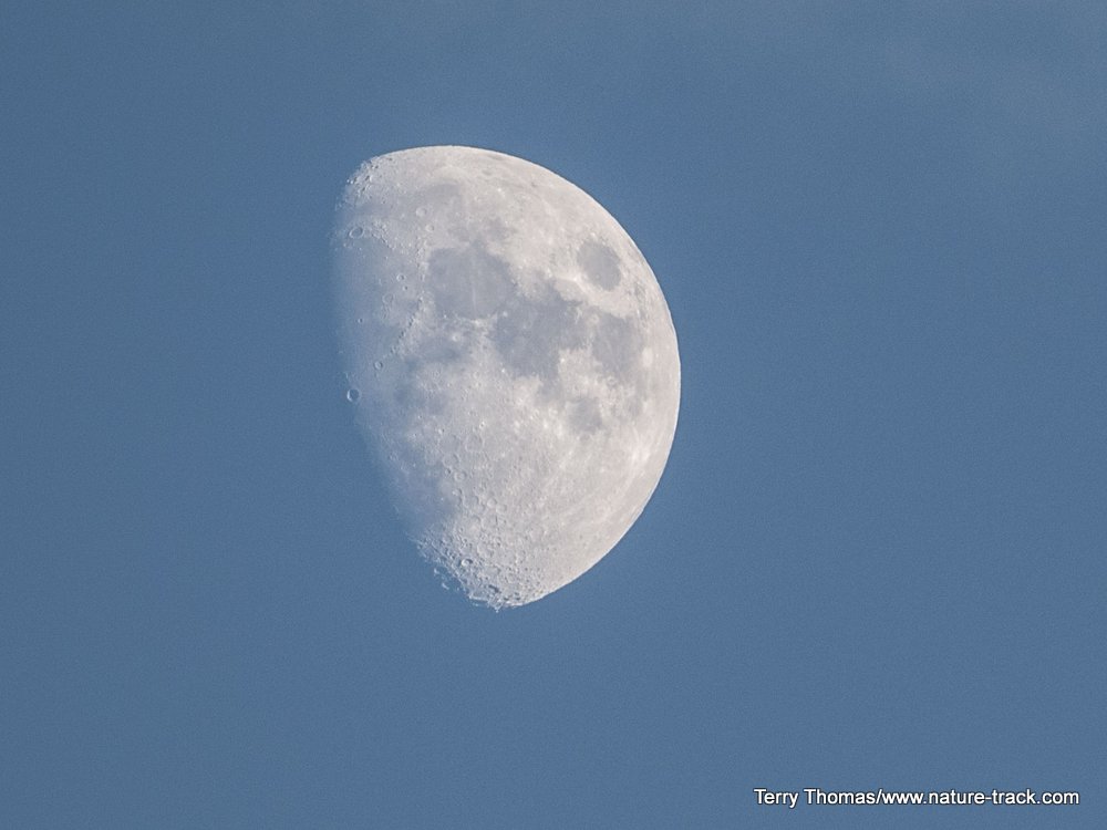 waxing moon