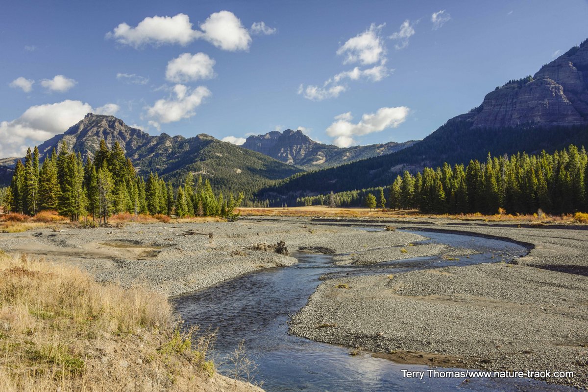 soda butte creek