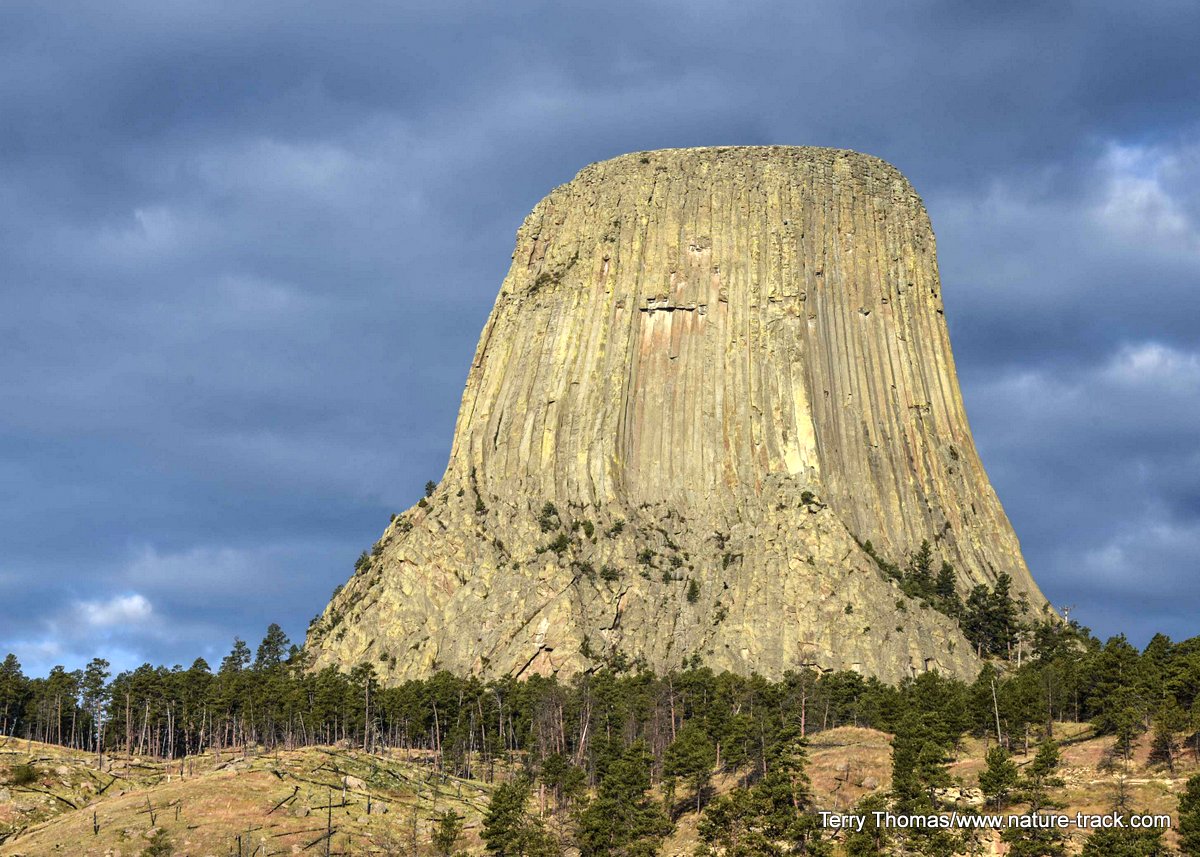 Devils Tower
