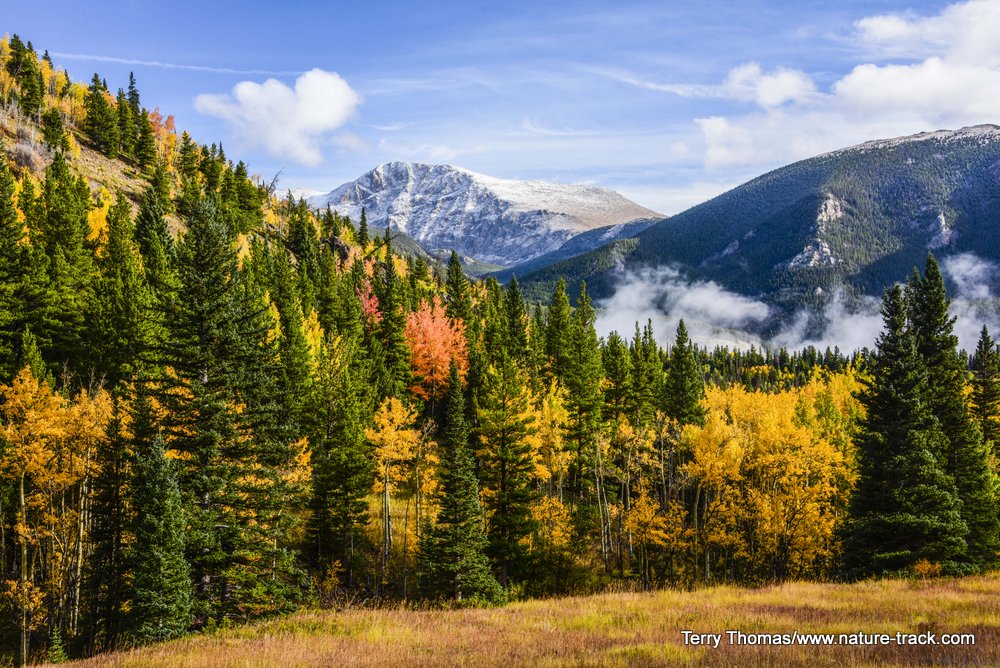 Rocky Mtn NP