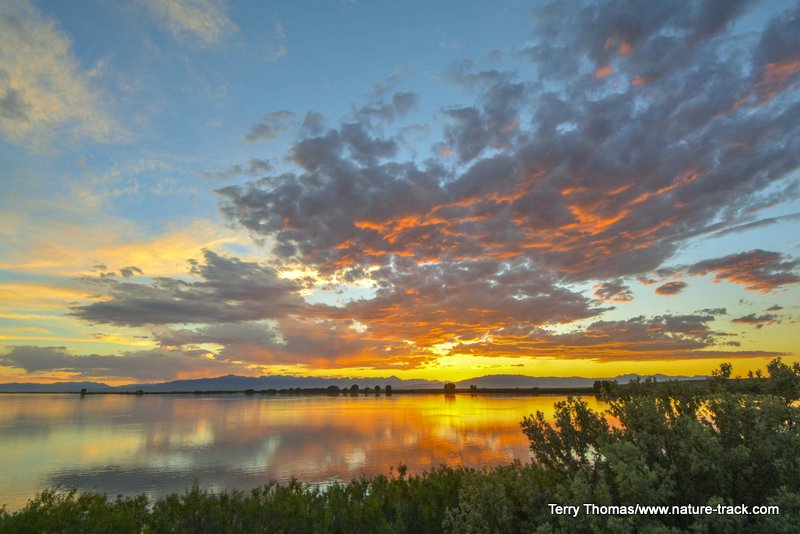 mud lake sunset