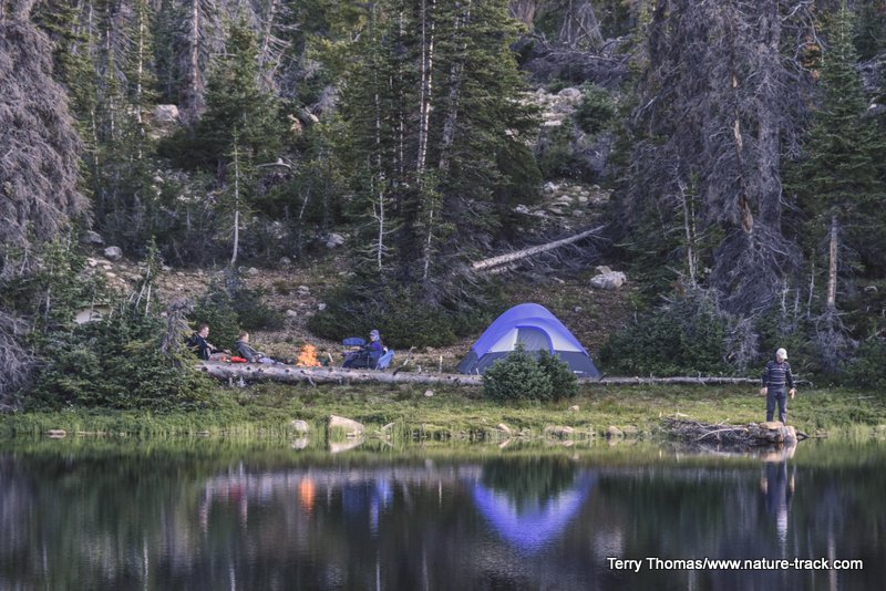camping