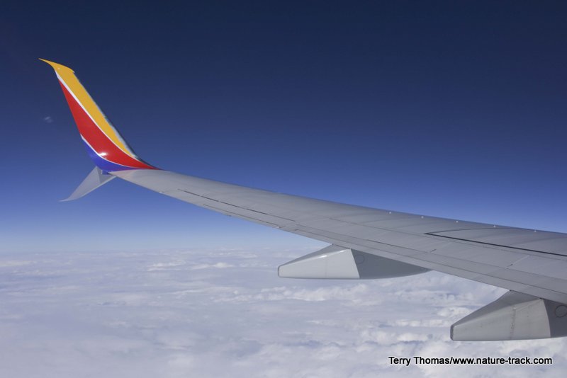 jet wing