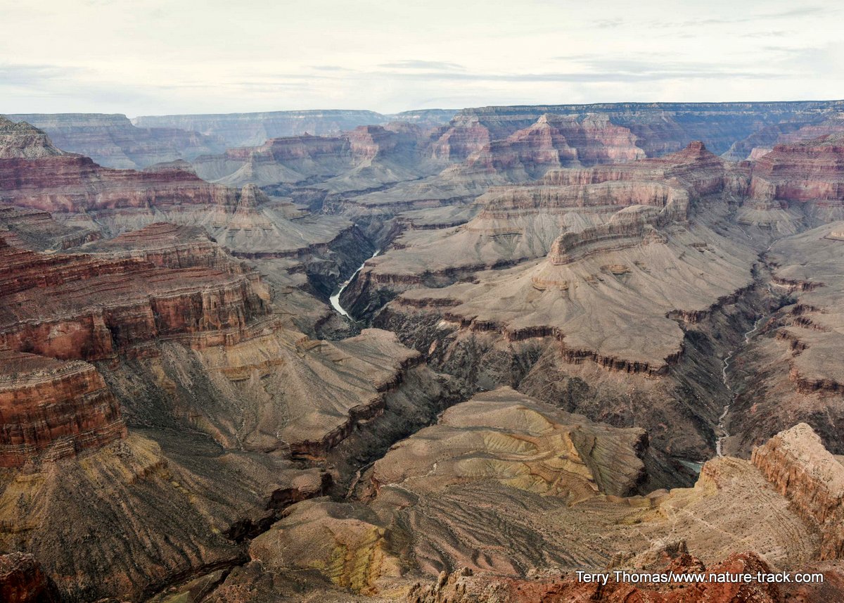 grand canyon
