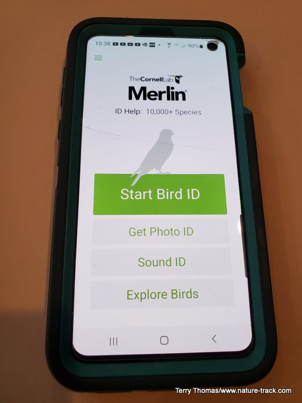 merlin app