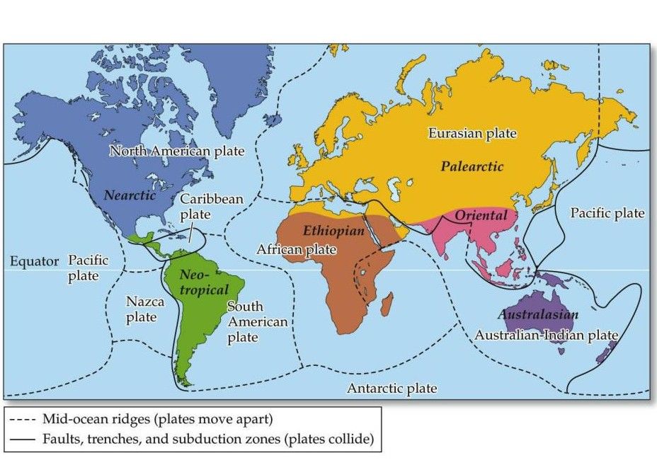 biogeography
